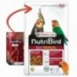 Nutribird G14 Tropical - Alimento de manutenção para periquitos multicoloridos 1 kg Nutribird G14 Tropical - Alimento de manutenção para periquitos multicoloridos 1 kg