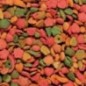 Nutribird P15 Tropical - Alimento de manutenção para papagaios e araras, multicolorido, 3 kg Nutribird P15 Tropical - Alimento de manutenção para papagaios e araras, multicolorido, 3 kg