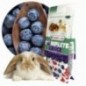 Snack pour rongeurs Versele-laga Complete Crock Berry 50 gr