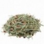 Versele-Laga Nature Heno Pimiento y Chirivia 500 gr Versele-Laga Nature Heno Pimiento y Chirivia 500 gr