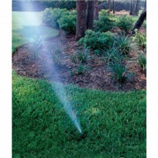 Comprar Aspersor Rain S050-S. Alcance 5,5-10,7 m. Rosca 1/2 hembra (Pack x 5)"