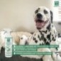 Spray insecticida perros mfs 750ml Spray insecticida perros mfs 750ml