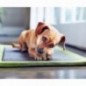 Purina dentalife golosina dental para perros mas pequeños 69 gr