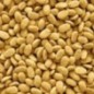 Nutribird p15 original papagaios 3 kg.