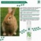 Shampoing moussant à l'aloe vera pour rongeurs, lapins et furets 200 ml Shampoing moussant à l'aloe vera pour rongeurs, lapins et furets 200 ml