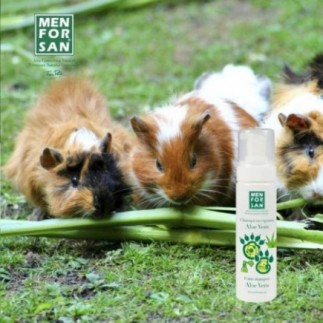 Achetez le shampoing moussant à l'aloe vera pour rongeurs, lapins et furets 200 ml