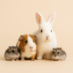 Animais pequenos