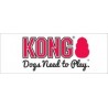 Kong
